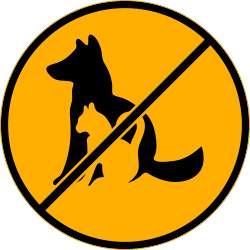No Pets Allowed